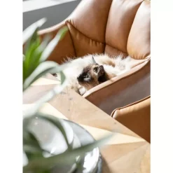 KARE Design Stühle-Armlehnstuhl Thinktank Braun