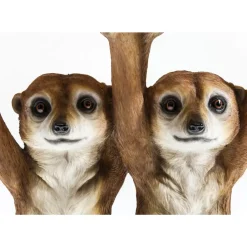 KARE Design Tische-Beistelltisch Animal Meerkat Sisters O33Cm