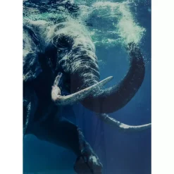 KARE Design Bilder-Bild Glas Swimming Elephant 180X120Cm