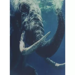 KARE Design Bilder-Bild Glas Swimming Elephant 180X120Cm