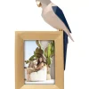 KARE Design Deko & Geschenkartikel-Bilderrahmen Origami Parrot 10X15Cm