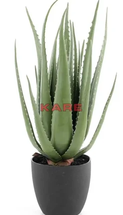 KARE Design Deko & Geschenkartikel-Deko Pflanze Aloe 69Cm