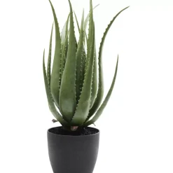 KARE Design Deko & Geschenkartikel-Deko Pflanze Aloe 69Cm