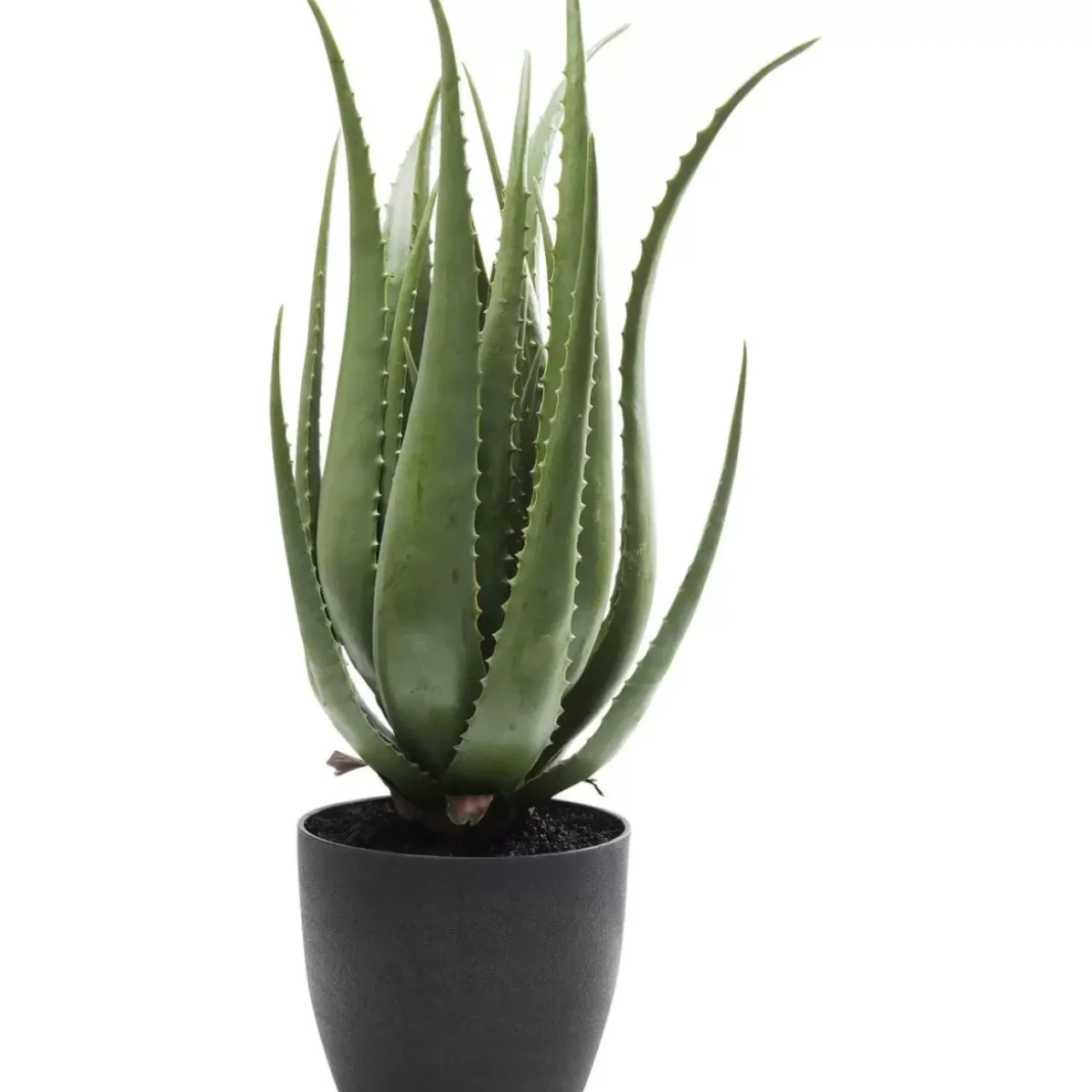 KARE Design Deko & Geschenkartikel-Deko Pflanze Aloe 69Cm