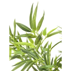 KARE Design Deko & Geschenkartikel-Deko Pflanze Bamboo Tree 200Cm