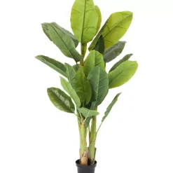 KARE Design Deko & Geschenkartikel-Deko Pflanze Banana Tree 180Cm