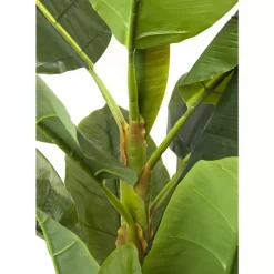 KARE Design Deko & Geschenkartikel-Deko Pflanze Banana Tree 180Cm