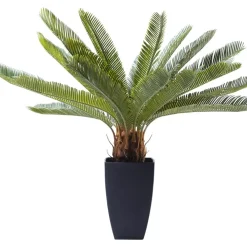 KARE Design Deko & Geschenkartikel-Deko Pflanze Cycas Tree 78Cm