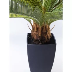KARE Design Deko & Geschenkartikel-Deko Pflanze Cycas Tree 78Cm