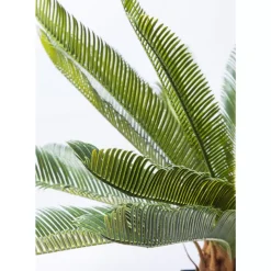 KARE Design Deko & Geschenkartikel-Deko Pflanze Cycas Tree 78Cm