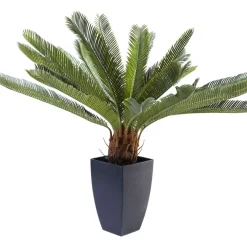 KARE Design Deko & Geschenkartikel-Deko Pflanze Cycas Tree 78Cm