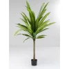 KARE Design Deko & Geschenkartikel-Deko Pflanze Dracaena Fragrans 180Cm