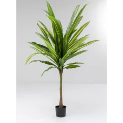 KARE Design Deko & Geschenkartikel-Deko Pflanze Dracaena Fragrans 180Cm