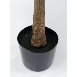 KARE Design Deko & Geschenkartikel-Deko Pflanze Dracaena Fragrans 180Cm