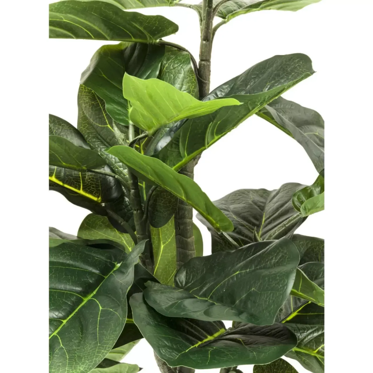 KARE Design Deko & Geschenkartikel-Deko Pflanze Fiddle Leaf 120Cm