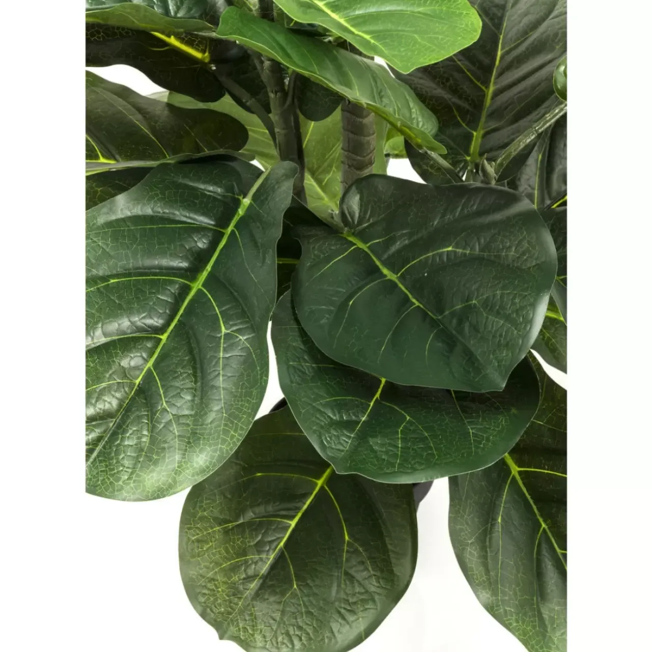 KARE Design Deko & Geschenkartikel-Deko Pflanze Fiddle Leaf 120Cm