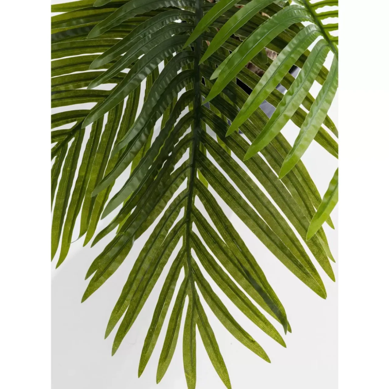 KARE Design Deko & Geschenkartikel-Deko Pflanze Palm Tree 190