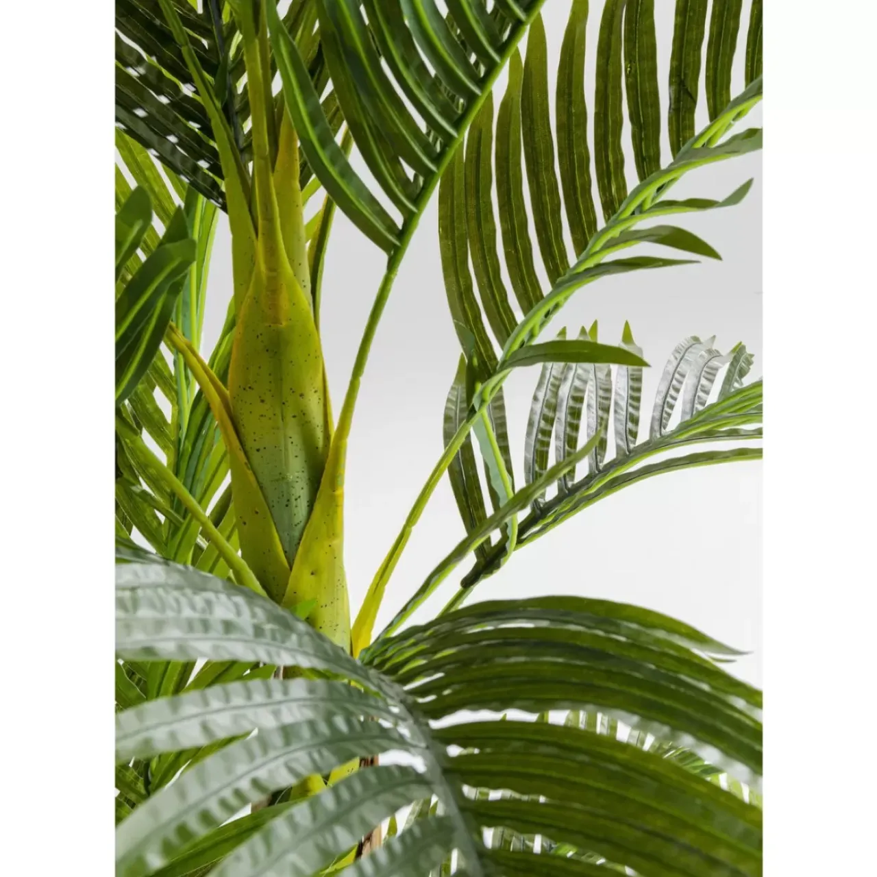 KARE Design Deko & Geschenkartikel-Deko Pflanze Palm Tree 190