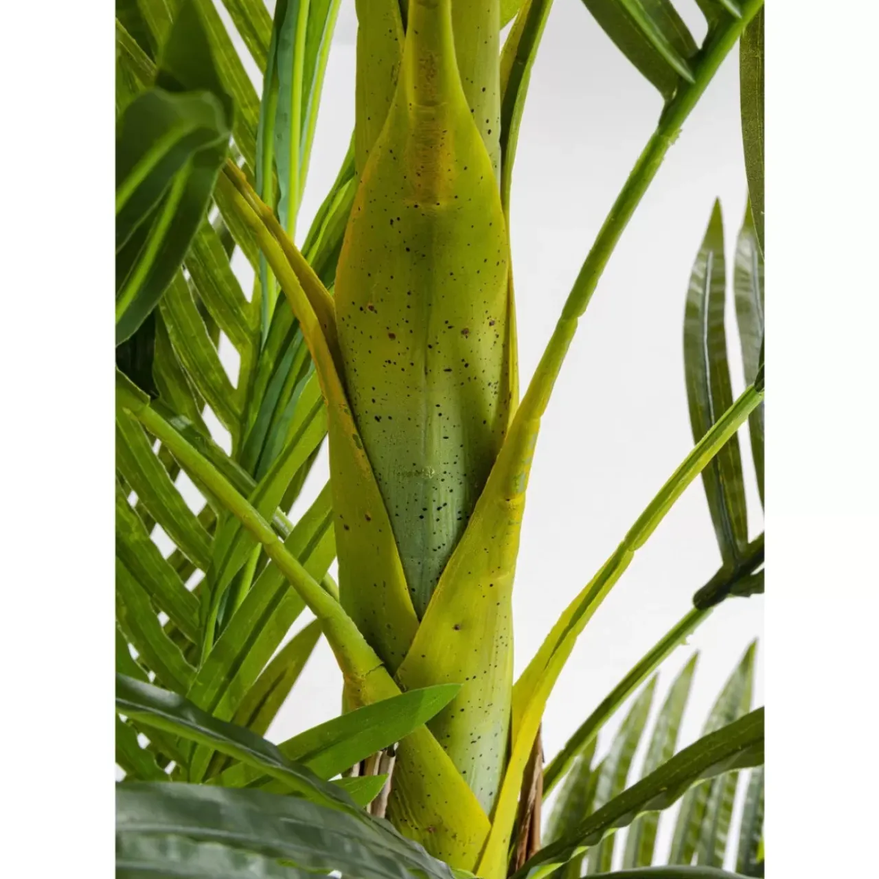 KARE Design Deko & Geschenkartikel-Deko Pflanze Palm Tree 190