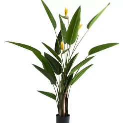 KARE Design Deko & Geschenkartikel-Deko Pflanze Paradise Flowers 190