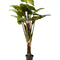 KARE Design Deko & Geschenkartikel-Deko Pflanze Rainforest Green 160Cm