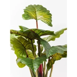 KARE Design Deko & Geschenkartikel-Deko Pflanze Rainforest Green 160Cm