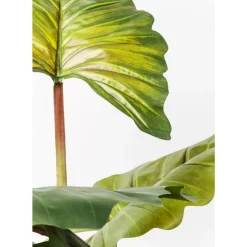 KARE Design Deko & Geschenkartikel-Deko Pflanze Rainforest Green 160Cm