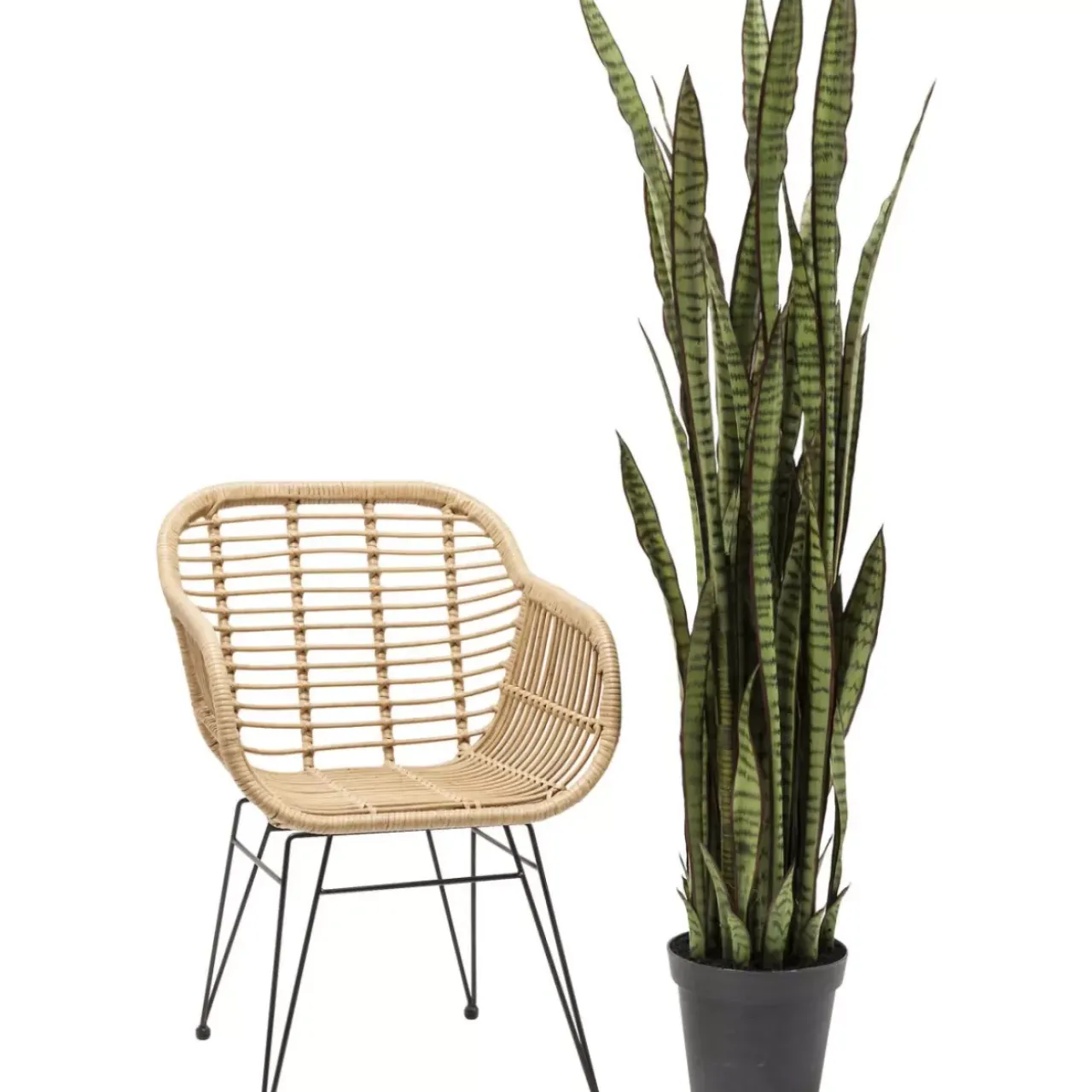 KARE Design Deko & Geschenkartikel-Deko Pflanze Sansewieria 155Cm