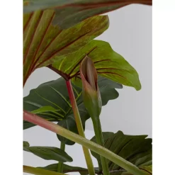 KARE Design Deko & Geschenkartikel-Deko Pflanze Taro 180