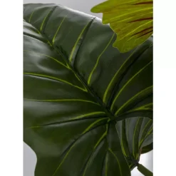 KARE Design Deko & Geschenkartikel-Deko Pflanze Taro 180