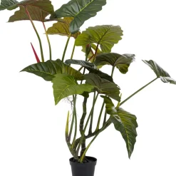 KARE Design Deko & Geschenkartikel-Deko Pflanze Taro 180