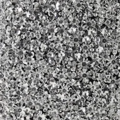 KARE Design Bilder-Deko Rahmen Silver Flower 100X100Cm