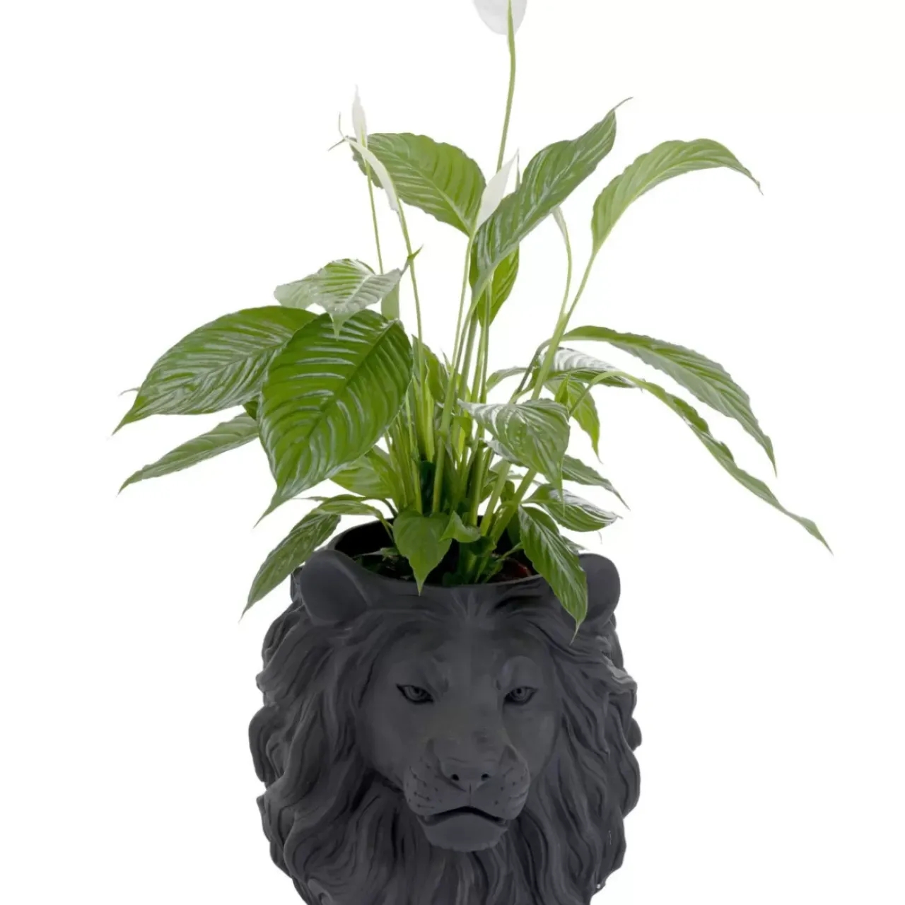 KARE Design Aufbewahrung & Ordnung-Deko Ubertopf Lion Schwarz