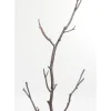 KARE Design Kleinmöbel & Sonstiges-Garderobenstander Tree Branch 183Cm