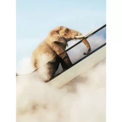 KARE Design Bilder-Gerahmtes Bild Elephant In The Sky 150X100Cm