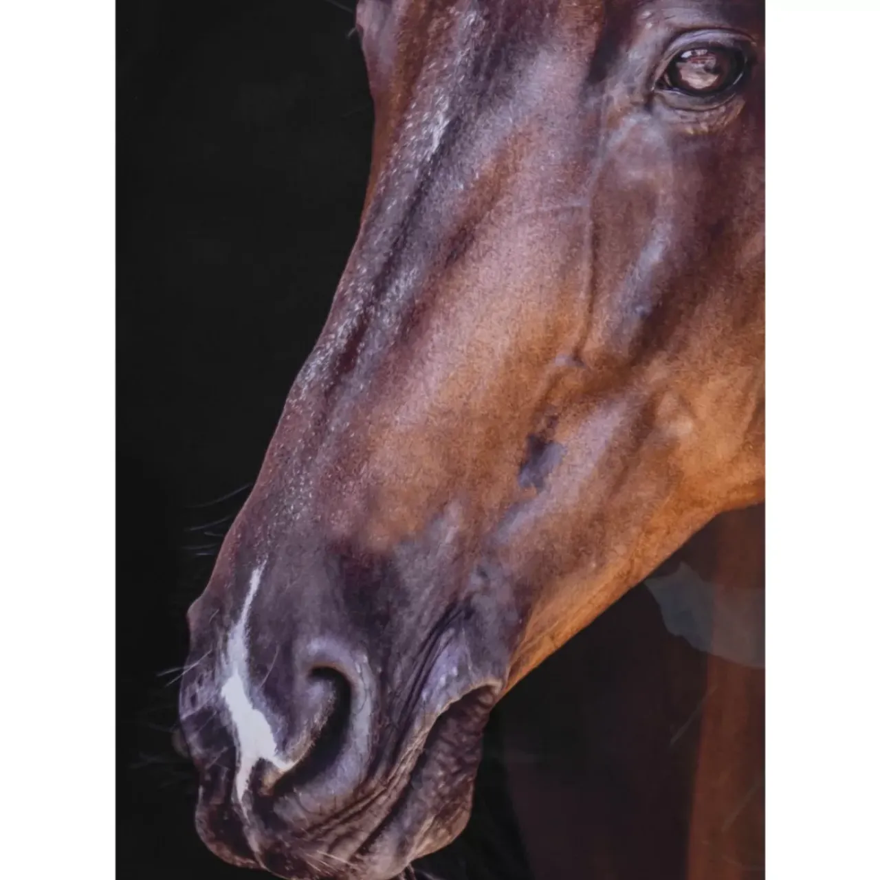 KARE Design Bilder-Gerahmtes Bild Wendy 75X105Cm