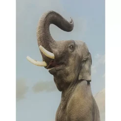 KARE Design Bilder-Glasbild Balance Elephant 150X100Cm