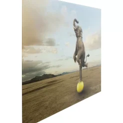 KARE Design Bilder-Glasbild Balance Elephant 150X100Cm