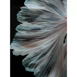 KARE Design Bilder-Glasbild Colorful Swarm Fish 120X120Cm