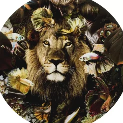 KARE Design Bilder-Glasbild Curious Lion O100Cm