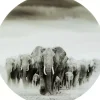 KARE Design Bilder-Glasbild Elephant Walk O120Cm