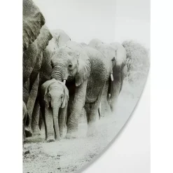 KARE Design Bilder-Glasbild Elephant Walk O120Cm