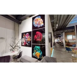 KARE Design Bilder-Glasbild Fire Fish 100X100Cm