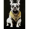 KARE Design Bilder-Glasbild Noble Dog 40X60Cm