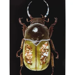 KARE Design Bilder-Glasbild Shiney Dung Beetle 80X120Cm