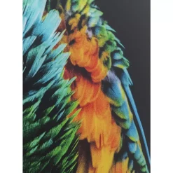 KARE Design Bilder-Glasbild Tropical Parrot 120X80Cm