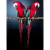 KARE Design Bilder-Glasbild Twin Parrot 80X120Cm