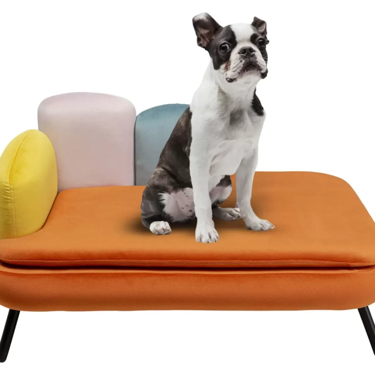 KARE Design Kleinmöbel & Sonstiges-Hund/Katzenbett Diva Orange