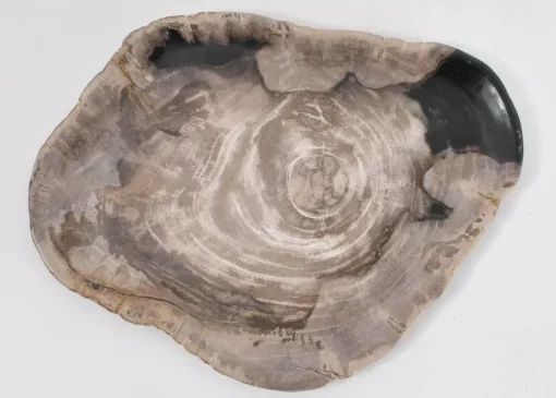 KARE Design Geschirr & Tischaccessoires-Platte Magisch Versteinertes Holz