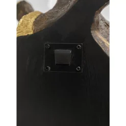 KARE Design Bilder-Wandobjekt Elegant Giraffe 44X78Cm